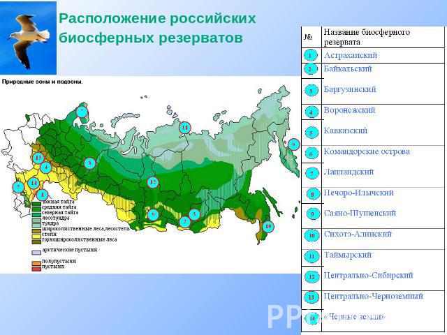 Расположение российских биосферных резерватов