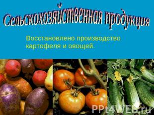 Сельскохозяйственная продукция Восстановлено производство картофеля и овощей.
