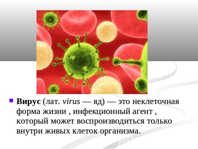 Вирус (лат. virus — яд) — это неклеточная форма жизни , инфекционный агент , который может воспроизводиться только внутри живых клеток организма.