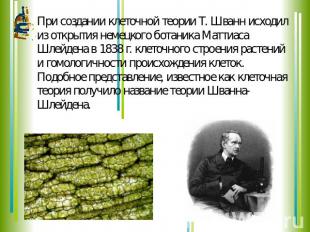 При создании клеточной теории Т. Шванн исходил из открытия немецкого ботаника Ма