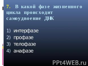 7. В какой фазе жизненного цикла происходит самоудвоение ДНК интерфазепрофазетел