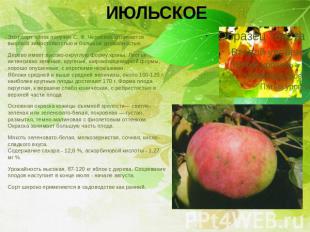 ИЮЛЬСКОЕ Этот сорт яблок получен С. Ф. Черненко, отличается высокой зимостойкост