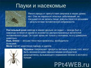 Пауки и насекомые Явного вреда от присутствия сверчков в наших домах нет. Они не