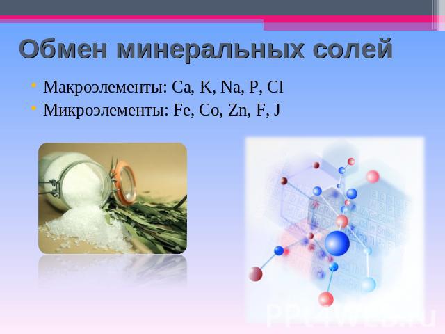 Обмен минеральных солей Макроэлементы: Ca, K, Na, P, ClМикроэлементы: Fe, Co, Zn, F, J
