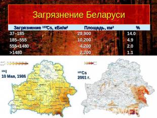 Загрязнение Беларуси