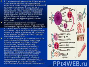 I. В патогенезе профессиональной бронхиальной астмы, протекающей по типу атопиче