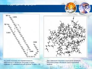 Структурная формула На схеме показана последовательность аминокислот в молекуле