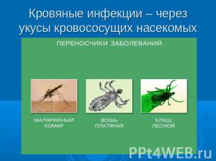 Кровяные инфекции – через укусы кровососущих насекомых