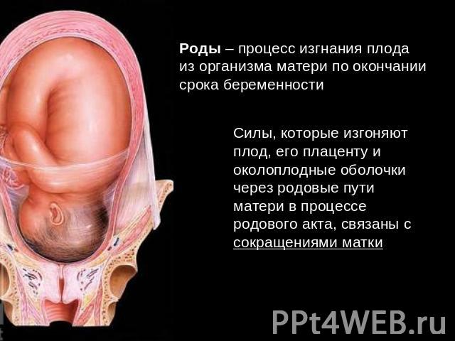 Роды – процесс изгнания плода из организма матери по окончании срока беременности Силы, которые изгоняют плод, его плаценту и околоплодные оболочки через родовые пути матери в процессе родового акта, связаны с сокращениями матки