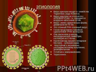 этиология Вирус краснухи входит в семейства Togaviridae, рода Rubivirus.Вирус кр