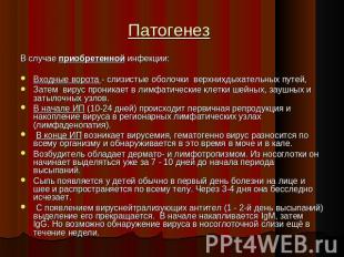 Патогенез В случае приобретенной инфекции: Входные ворота - слизистые оболочки в