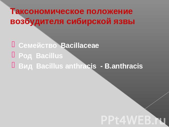 Таксономическое положение возбудителя сибирской язвы Семейство BacillaceaeРод BacillusВид Bacillus anthracis - B.anthracis