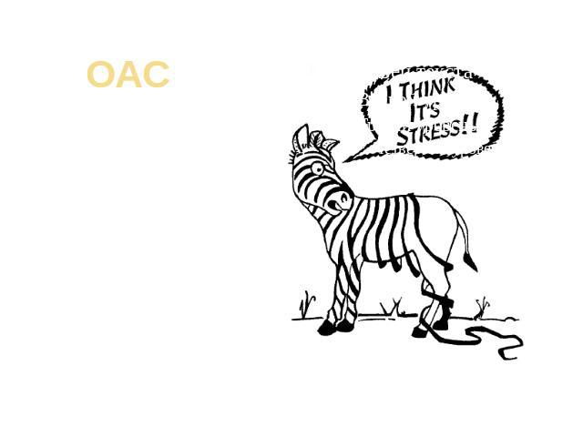 ОАС Действие стрессорного раздражителя индуцирует развитие общего адаптационного синдрома (ОАС). ОАС - проявление стресса в его временном развитии, поэтому под ОАС следует понимать совокупность неспецифических приспособительных реакций, возникающих …