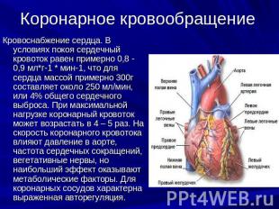 Коронарное кровообращение Кровоснабжение сердца. В условиях покоя сердечный кров