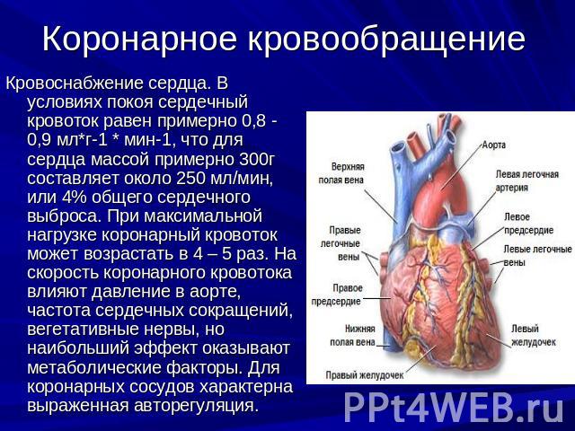 Коронарное кровообращение Кровоснабжение сердца. В условиях покоя сердечный кровоток равен примерно 0,8 - 0,9 мл*г-1 * мин-1, что для сердца массой примерно 300г составляет около 250 мл/мин, или 4% общего сердечного выброса. При максимальной нагрузк…