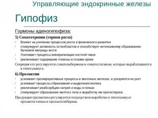 Управляющие эндокринные железы Гипофиз Гормоны аденогипофиза:5) Соматотропин (го