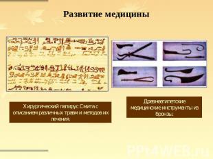 Развитие медицины Хирургический папирус Смита с описанием различных травм и мето
