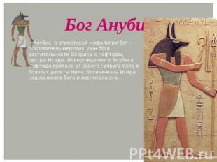 Бог Анубис Анубис, в египетской мифологии бог - покровитель мертвых, сын бога ра