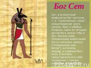 Бог Сет Сет, в египетской мифологии бог пустыни, т. е. "чужеземных стран", олице
