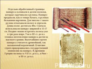 Отдельно обработанный страницы папируса склеивали в долгие полоски, которые скру