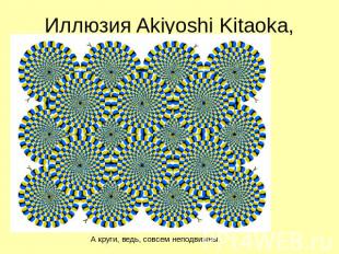 Иллюзия Akiyoshi Kitaoka, 2004 А круги, ведь, совсем неподвижны.