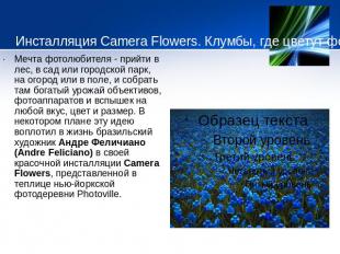 Инсталляция Camera Flowers. Клумбы, где цветут фотокамеры    Мечта фотолюбителя