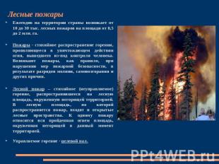 Лесные пожары Ежегодно на территории страны возникает от 10 до 30 тыс. лесных по