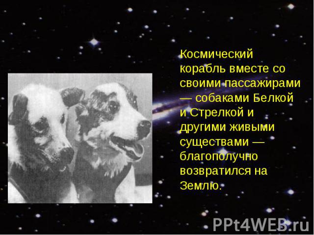 Космический корабль вместе со своими пассажирами — собаками Белкой и Стрелкой и другими живыми существами — благополучно возвратился на Землю.