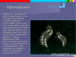 Протерозой Сприггина - Это существо имело, червеобразное тело с хорошо обозначен