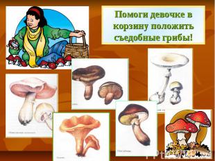 Помоги девочке в корзину положить съедобные грибы!
