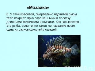 «Мозаика»6. У этой красивой, смертельно ядовитой рыбы тело покрыто ярко окрашенн
