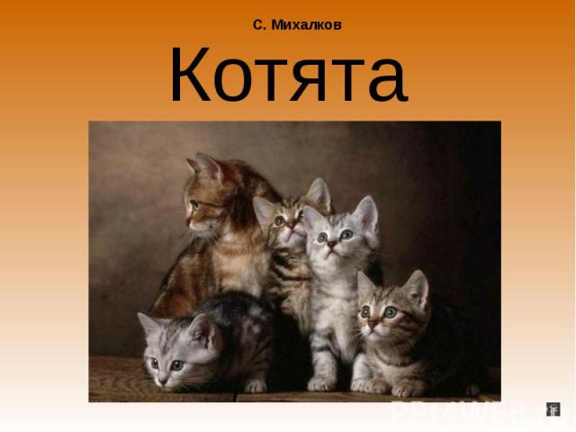 С. Михалков Котята