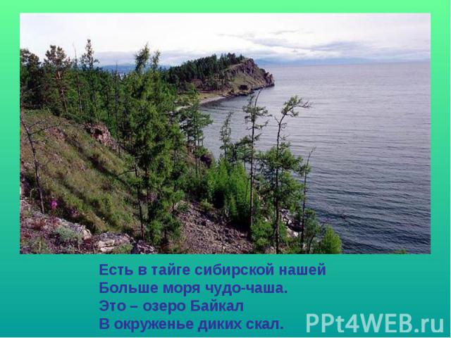 Есть в тайге сибирской нашейБольше моря чудо-чаша.Это – озеро БайкалВ окруженье диких скал.