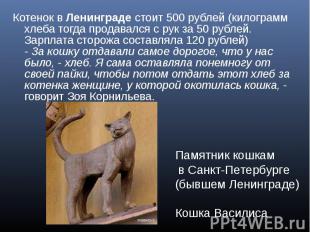 Котенок в Ленинграде стоит 500 рублей (килограмм хлеба тогда продавался с рук за