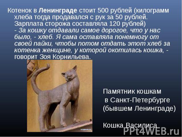 Котенок в Ленинграде стоит 500 рублей (килограмм хлеба тогда продавался с рук за 50 рублей. Зарплата сторожа составляла 120 рублей) - За кошку отдавали самое дорогое, что у нас было, - хлеб. Я сама оставляла понемногу от своей пайки, чтобы потом отд…