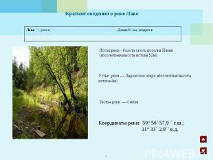 Краткие сведения о реке ЛавеИсток реки - болота около поселка Назия (абсолютная