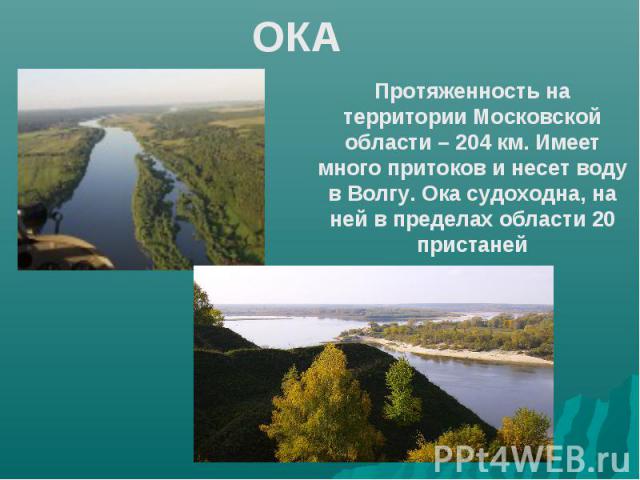 ОКА Протяженность на территории Московской области – 204 км. Имеет много притоков и несет воду в Волгу. Ока судоходна, на ней в пределах области 20 пристаней