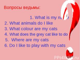 Вопросы ведьмы: 1. What is my name 2. What animals do I like 3. What colour are