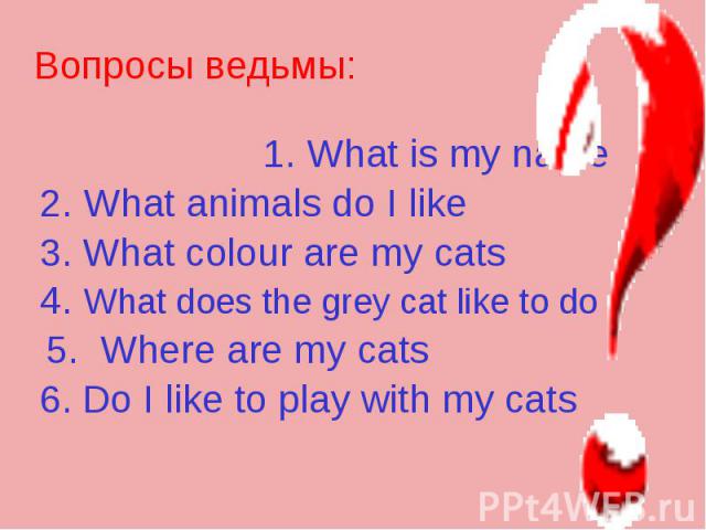 Вопросы ведьмы: 1. What is my name 2. What animals do I like 3. What colour are my cats 4. What does the grey cat like to do 5. Where are my cats 6. Do I like to play with my cats