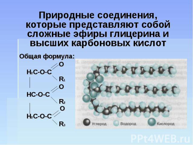 Природные соединения, которые представляют собой сложные эфиры глицерина и высших карбоновых кислот