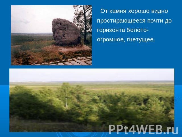 От камня хорошо видно простирающееся почти до горизонта болото-огромное, гнетущее.