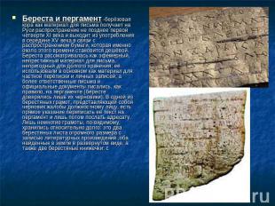 Береста и пергамент -берёзовая кора как материал для письма получает на Руси рас