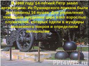 В 1686 году 14-летний Пётр завёл артиллерию. Из Пушкарского приказа были доставл