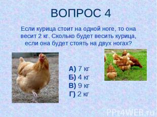 ВОПРОС 4 Если курица стоит на одной ноге, то она весит 2 кг. Сколько будет весит
