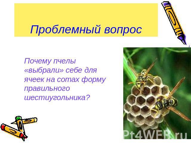 Проблемный вопрос Почему пчелы «выбрали» себе для ячеек на сотах форму правильного шестиугольника?