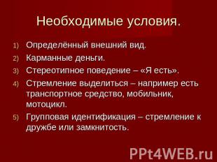 Необходимые условия. Определённый внешний вид.Карманные деньги.Стереотипное пове