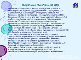 Творческие объединения ДДТ Творческое объединение «Юннаты» руководитель ЛысоваВ.