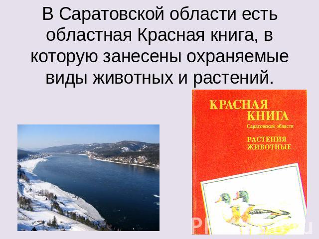 В Саратовской области есть областная Красная книга, в которую занесены охраняемые виды животных и растений.