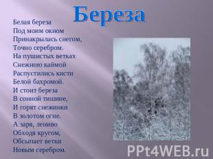 БерезаБелая березаПод моим окномПринакрылась снегом,Точно серебром.На пушистых в