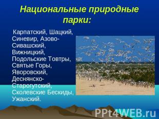 Нацилнальные природные парки: Карпатский, Шацкий, Синевир, Азово-Сивашский, Вижн